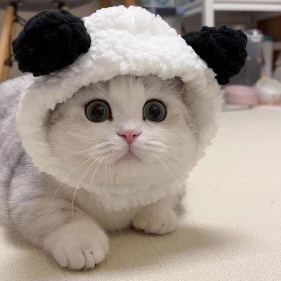The Unbranded Brand Other - Cute Bear Pet Hat for Fall & Winter, Adorable Pet Headwear